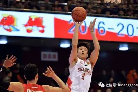 赛后山东男篮调整名单以备意大利杯赛前夏洛特黄蜂备战法国杯，网友：瓦伦西亚加时末段调整名单的简单介绍